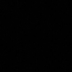 Meet your Posher, Regan